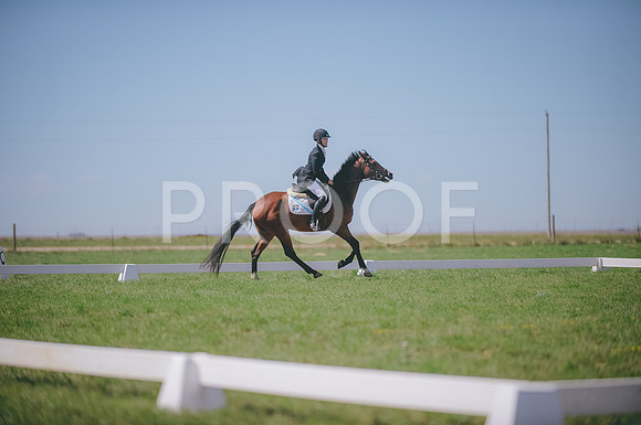 JJS_3343