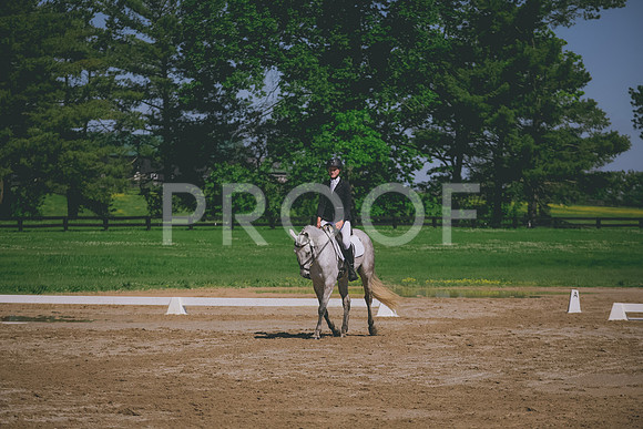 2E8A6575