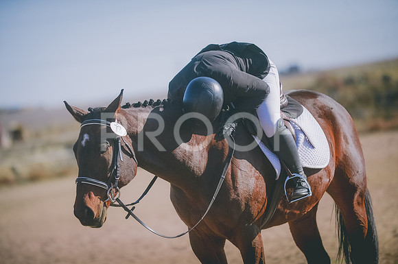 JJS_1609