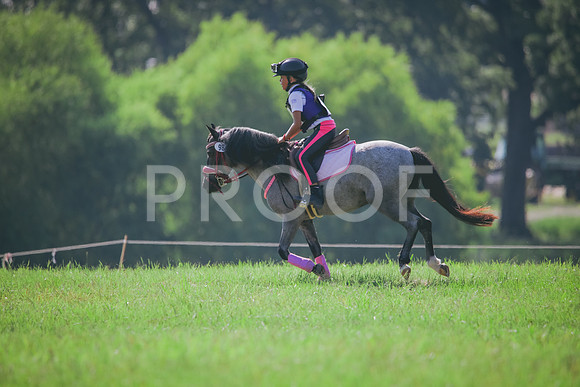 RWP_6424