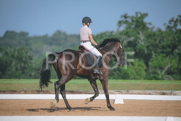 RWP_4632