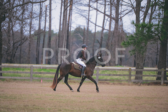 JJS_4484