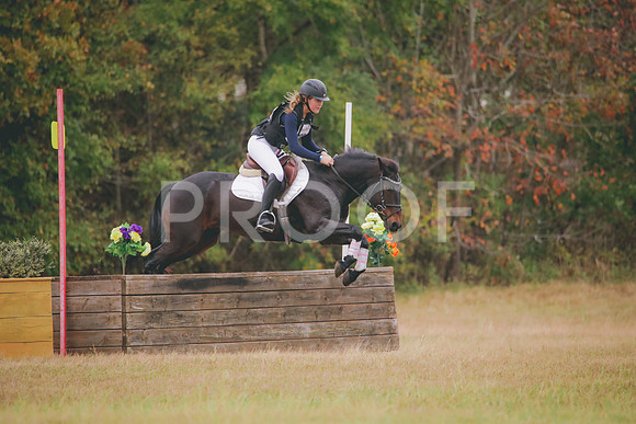 RWP_3481