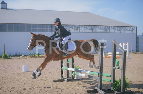 JJS_4251A