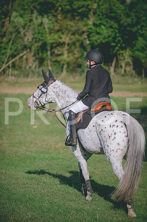 JJS_8420