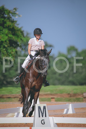 RWP_4639
