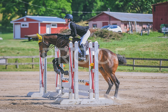 DSC_6777