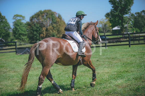 JJS_7934