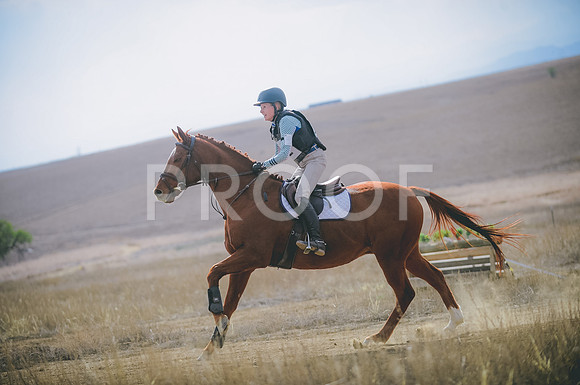 JJS_1819