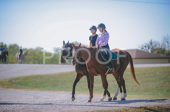 JJS_0589