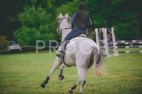 JJS_2851