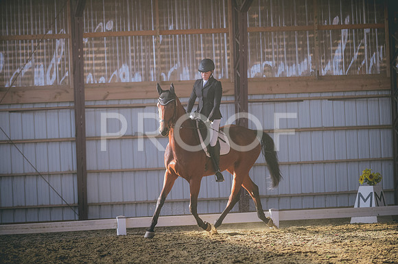 JJS_2317