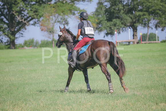 RWP_6466