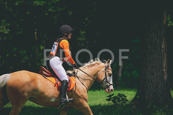 RWP_3933