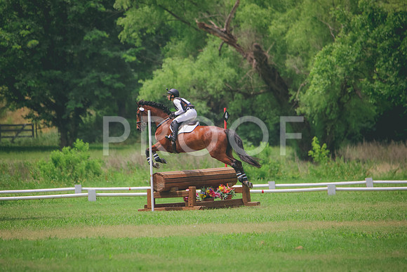 RWP_1617
