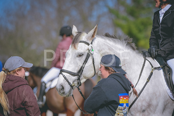 JJS_0228