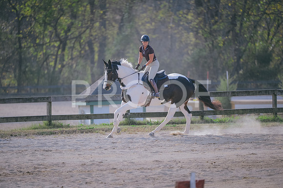 JJS_9288
