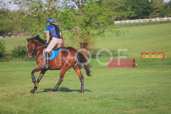 0N0A7039
