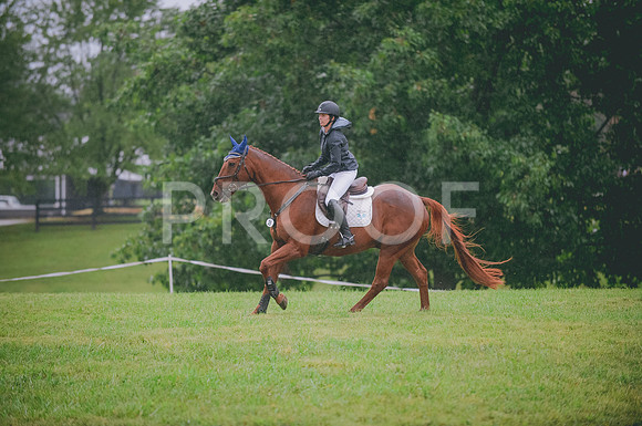 JJS_0377