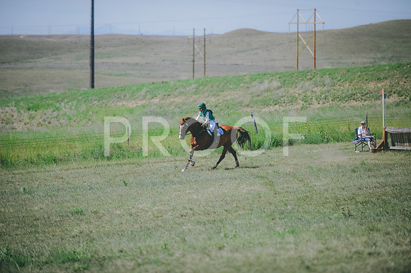 JJS_8009A