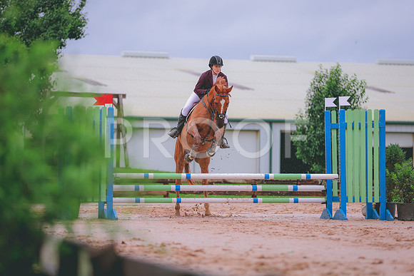 SH3_0872