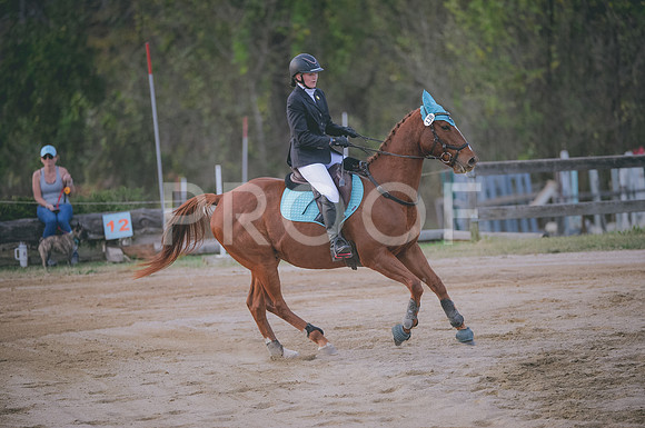JJS_2395