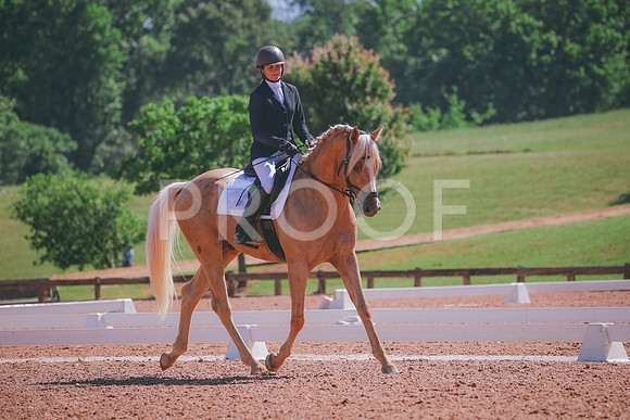 RWP_9893