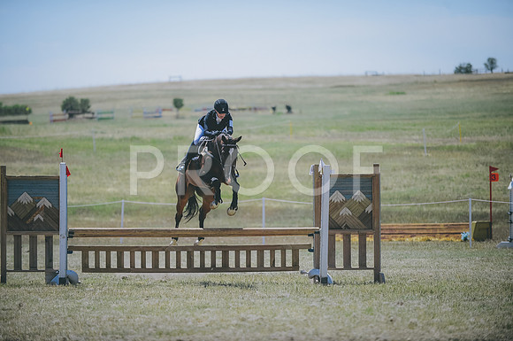 JJS_7973