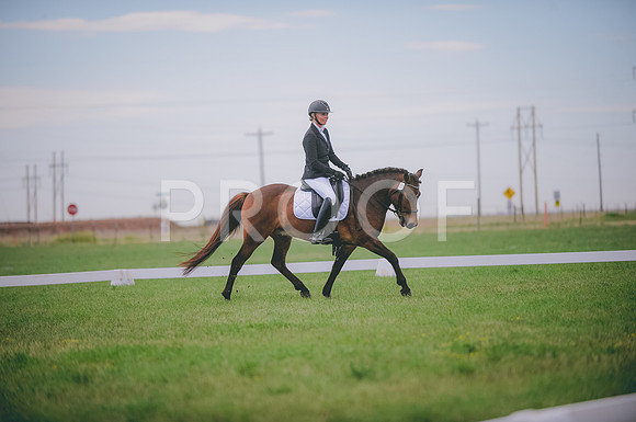 JJS_0293
