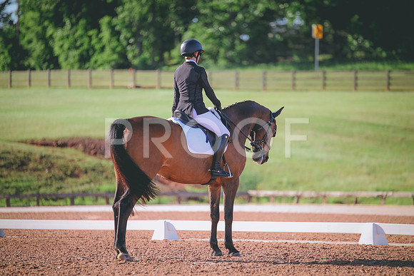 RWP_9284