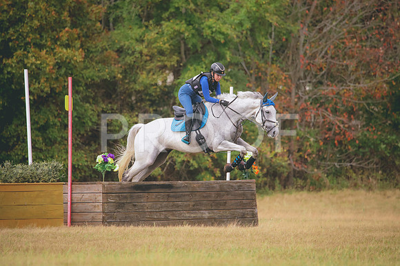 RWP_3517