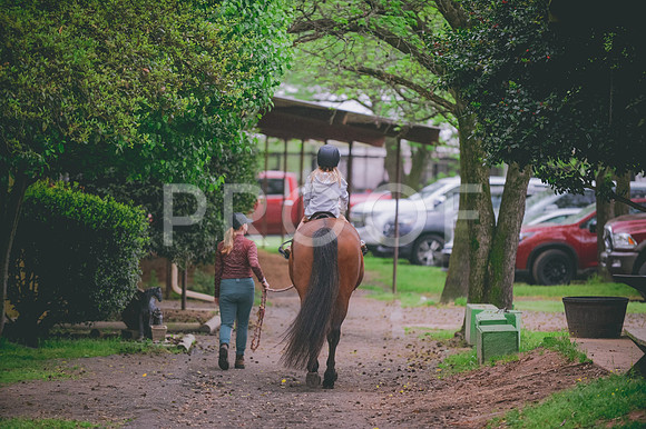 JJS_6308