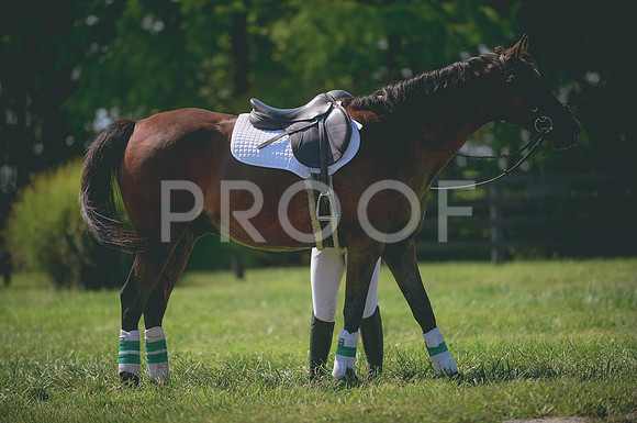 JJS_6188