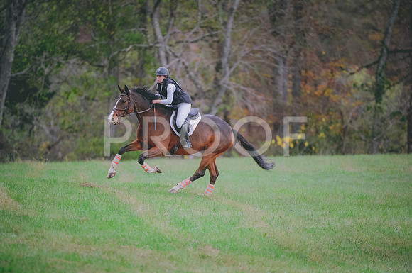 JJS_0652