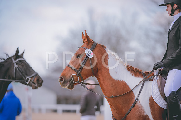 JJS_9188