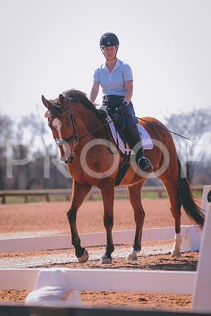 CDP_3815