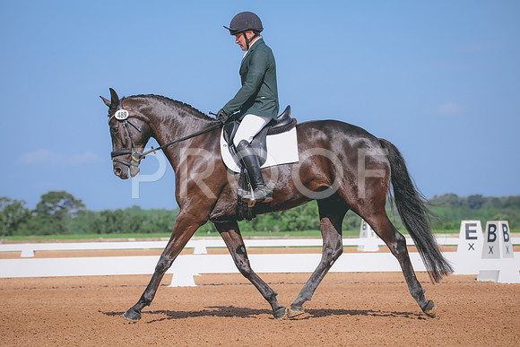 RWP_3964