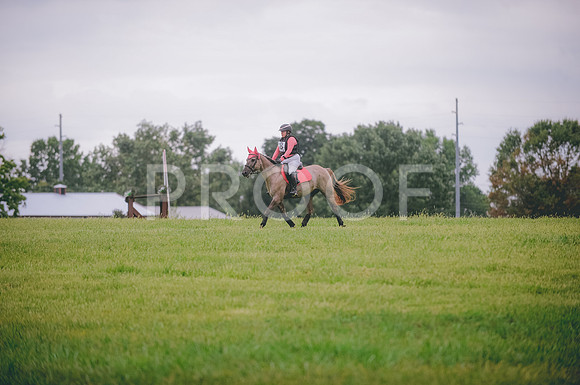 JJS_1247