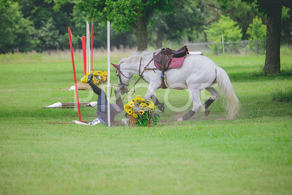 RWP_2804