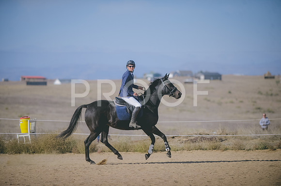 JJS_2931