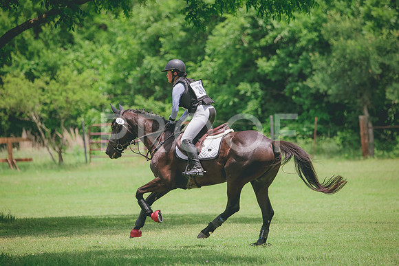 RWP_2541