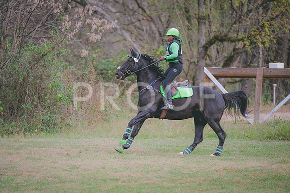 JJS_7746