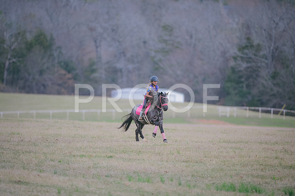 JJS_1599