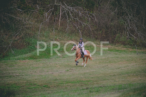 JJS_4313