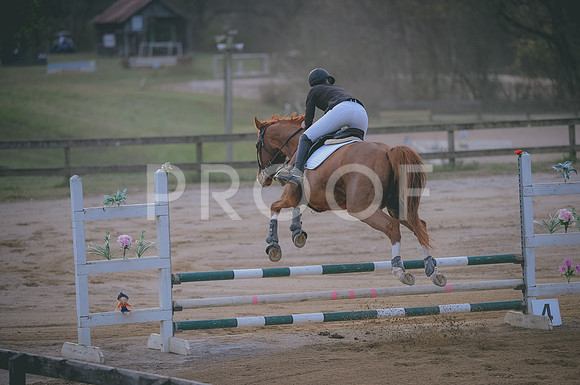 JJS_2221