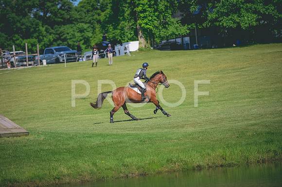 JJS_3546
