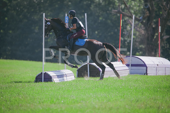 RWP_6447