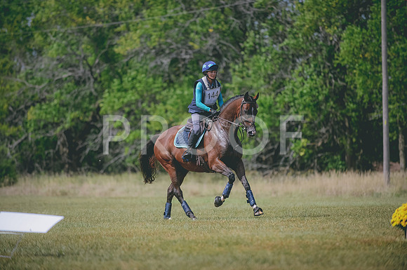 JJS_7046