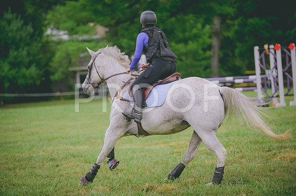 JJS_2440