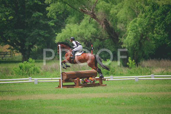 RWP_1616